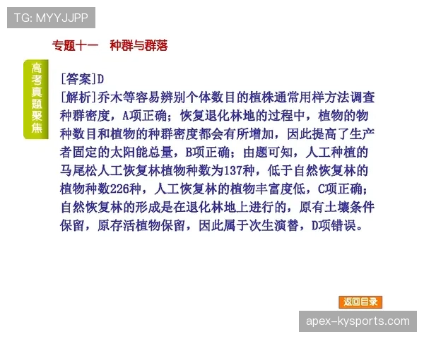 角旗规则有哪些细节易被忽视？权威解读全流程判定